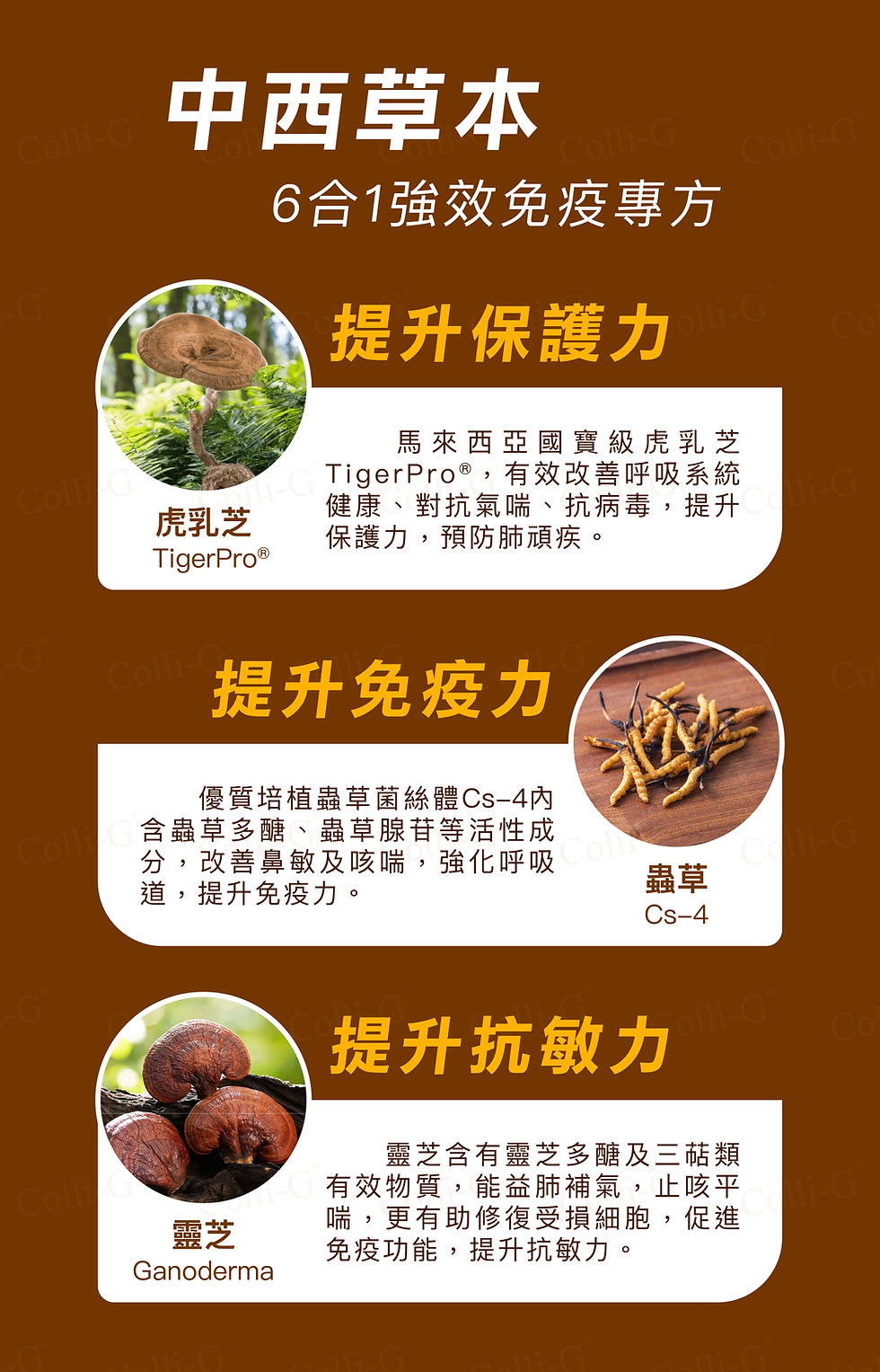 Colli-G虎乳芝蟲草 6合1強免專方_1