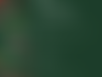 Pranzo di Natale 2025