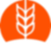 Second Harvest Logo.jpg