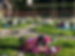 image00003.jpeg