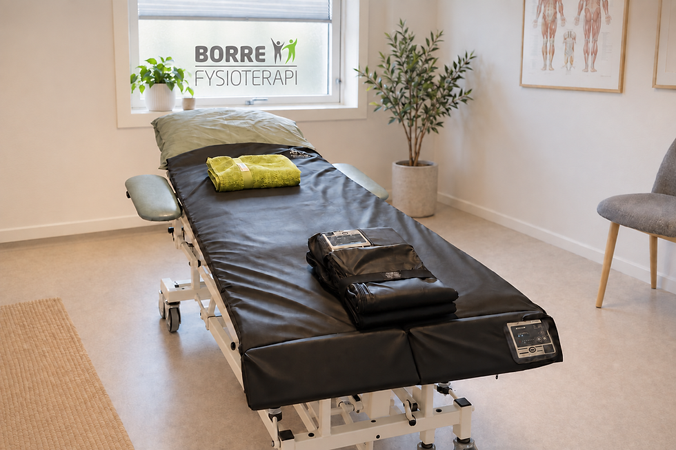 Behandlingsbenk hos Borre fysioterapi