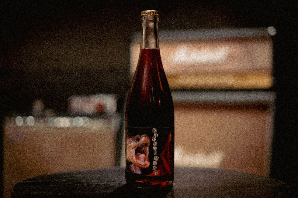 EXPERIMENT 2022 — Berry Wine Experiment.jpg