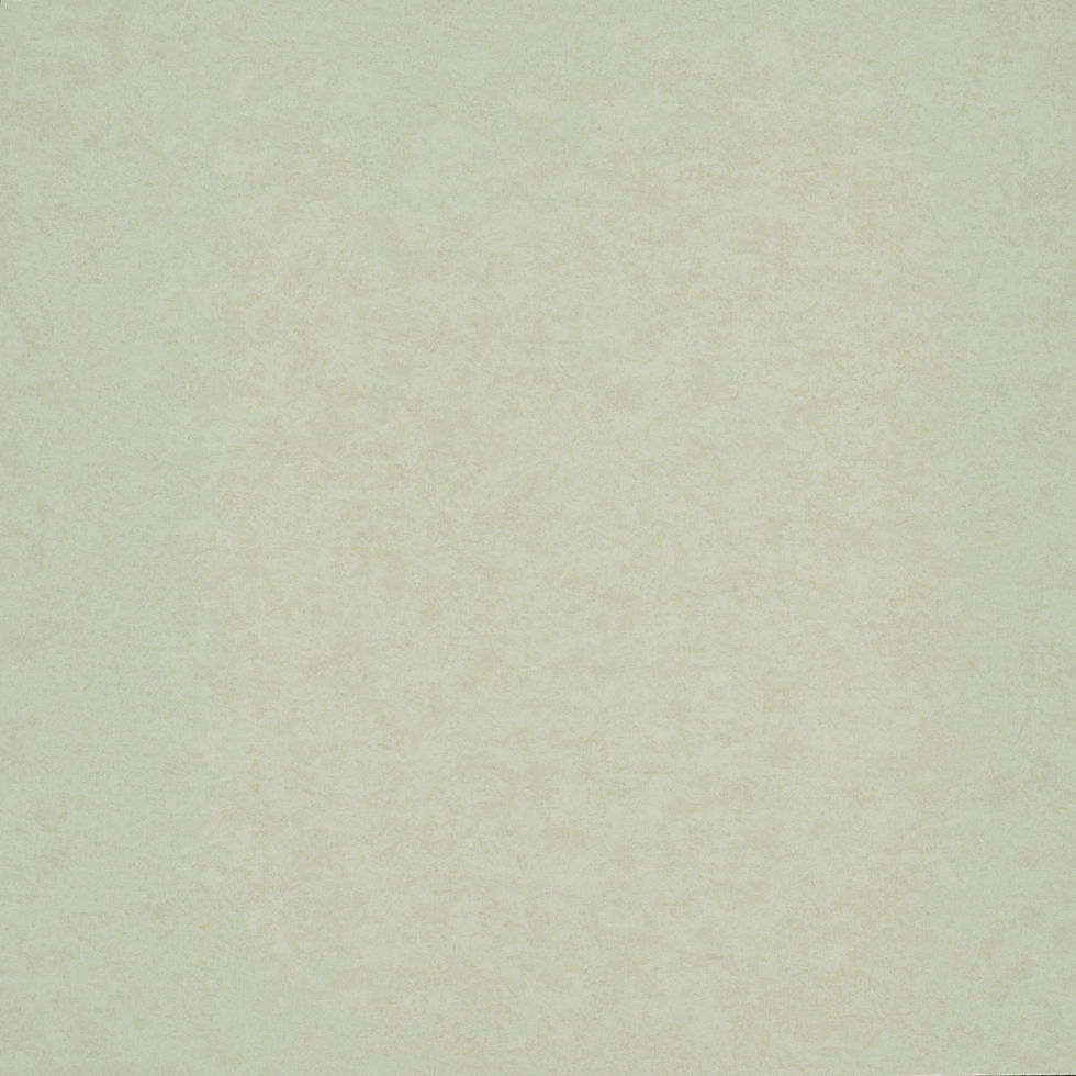 Chesterfield Plain - Paola Mostra