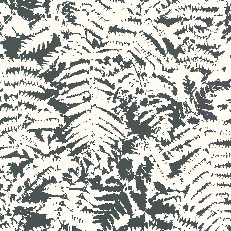 Fern - Off Black Mostra