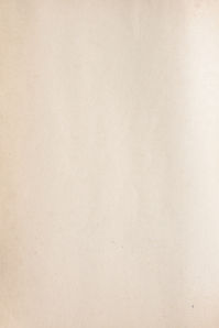 Light Paper Background.jpg