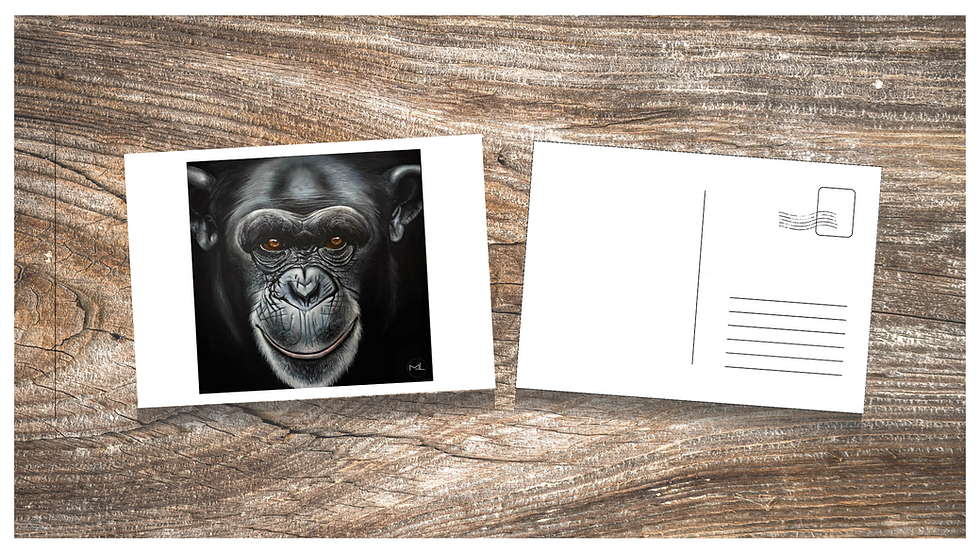 Miniaturbild: Postkartenset