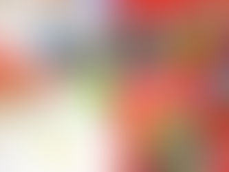 פלייסמט לצביעה