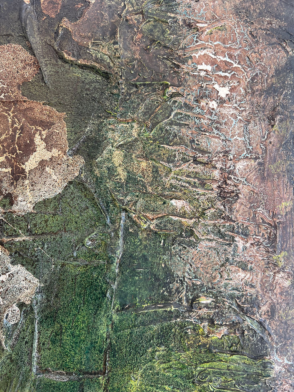 Thumbnail: Contrast of the Land – Tension of Growths, Broughton Creek, Berry, NSW