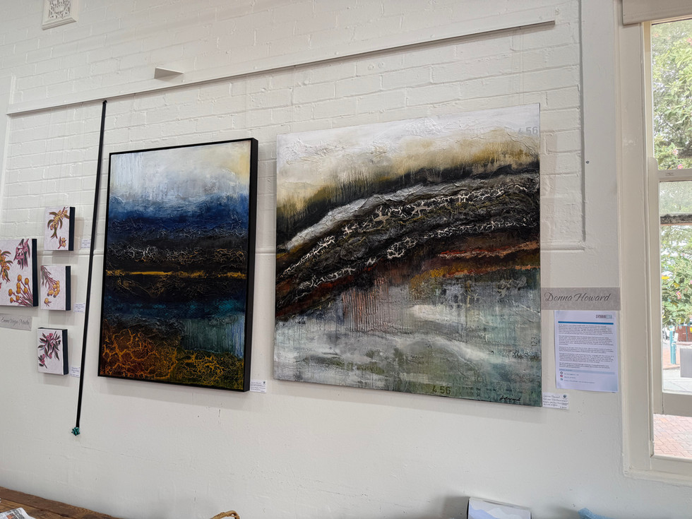Paintings at Kiama Exhibition