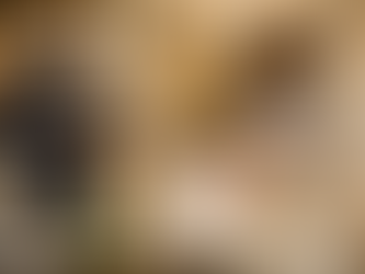 Luxury Home Management Services in India: Elevate Your Living Experience