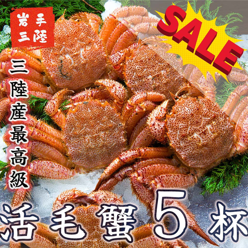 【SALE】三陸産 活毛ガニ | 5杯:10,000円(1.5 kg) 最高級 岩手三陸産毛蟹