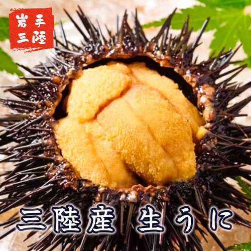 三陸産 【瓶詰め 生うに】| 2本 300g 天然無添加 ふるさと納税日本一