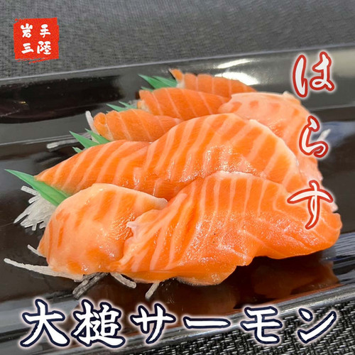 大槌サーモン【刺身】10人前：700g | 最高級三陸産 真空冷凍 | 【公式