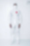 IMG_6343.jpeg