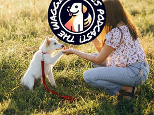 Episode 31: Importance of Puppy Training