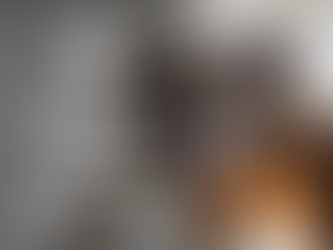 Food Aggression Vs Resource Guarding