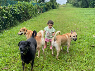 Keeping Your Toddler Safe Around Your Dog: A Daddy’s Guide