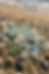 Seaglass inspiration for outdoor decor