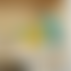 Cabinet Organizer for Food Contanier Lids