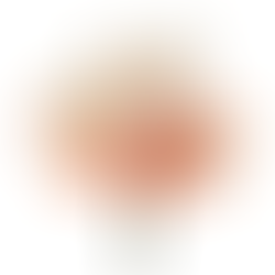 Coral and Pink Artificial Fake Flowers Plants Silk Flower Arrangements