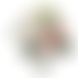 2 Packs Peonies Artificial Flowers,Mixed Fake Flowers Bouquet