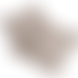 Vintage Floral Pillow Covers