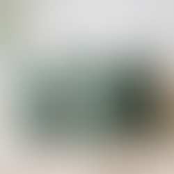 Sage Velvet Throw Pillow Covers Set of 2 