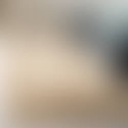 Natural Fiber Collection Area Rug 