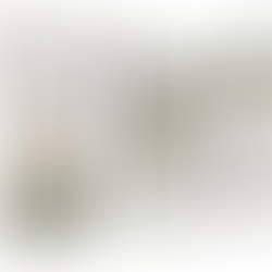 Sage Green Boho Wall Art Set of 3