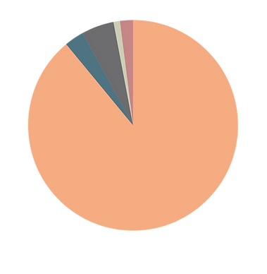 Pie chart showing different data percentages with various colors housesofhope.