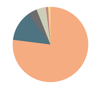Pie chart showing data with different colors and proportions housesofhope