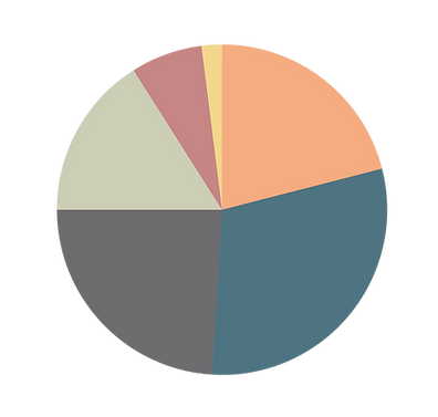 Pie chart with five segments in various colors on a black background.