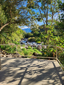 WhatsApp Image 2026-04-23 at 3.03.55 PM (4)