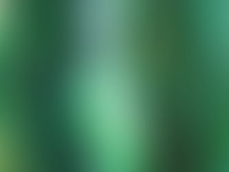 Publicidad ambiental engañosa*