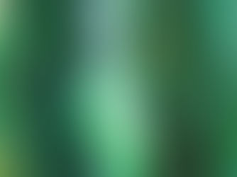 Publicidad ambiental engañosa*