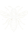 a_simple_illustration_of_a_wasp_using_only_white_outlines__top_down_view__no_background-re