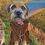 Thumbnail: St francis monk Border Terrier