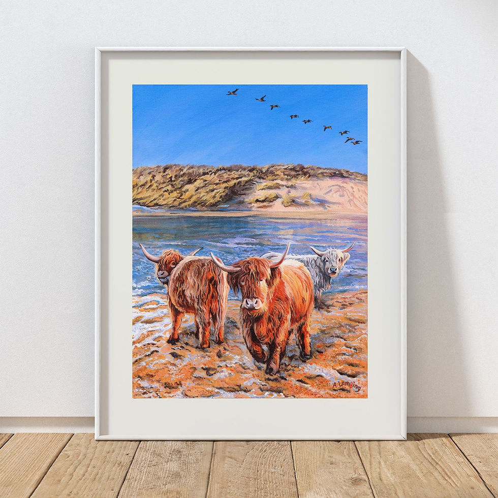 Woolly coos at Druridge Bay on a snowy day.