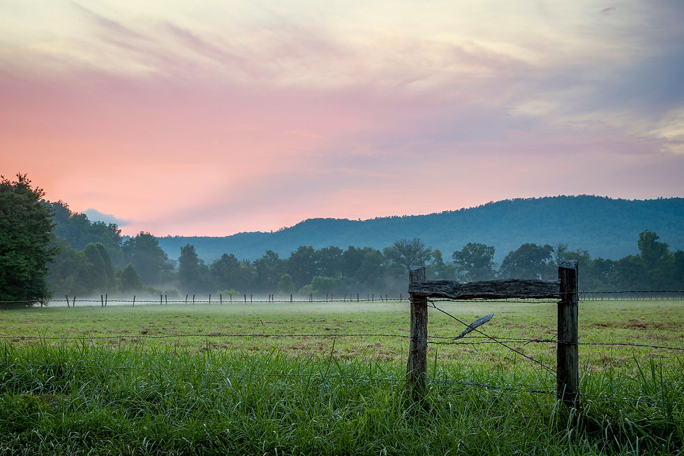 Smoke on the Mountain: Summer Camping in the Smokies
