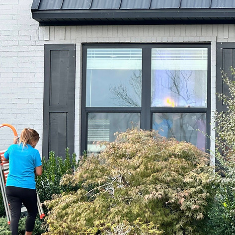Exterior Window Clean.jpg