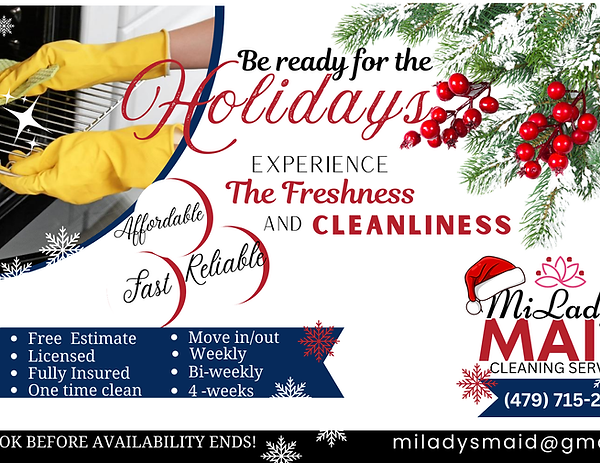 Miladys maid christmas promo.png