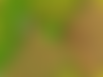 Eli Swenson Joins Meristem Team