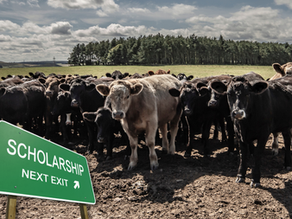 Graduate Students Recognized Through 2022 W.D. Farr Scholarship