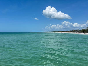 Untouched Paradise: Discover the Wild Beauty of Cayo Costa