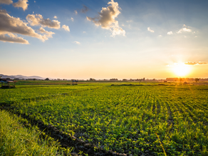 Top economists, industry leaders preview farm economic outlook