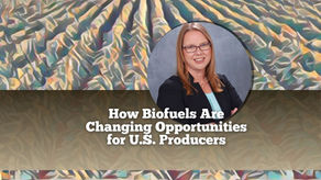 How biofuels are changing opportunities for US producers