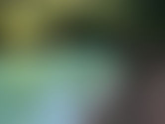 Gilchrist Blue Springs State Park