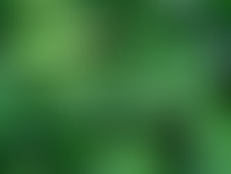 因響應環保署規定，配合政府提倡環保永續計畫，自2025年1月1日起，旅宿業將全面禁用一次性備品。