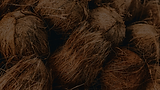 in use coco - 60 opct.png
