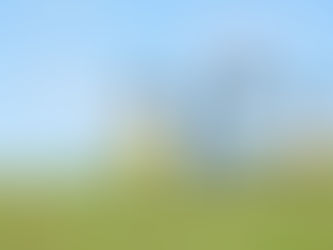 青空の下、子供たちがフィールドを駆け抜ける。楽しさと自由いっぱいの瞬間。